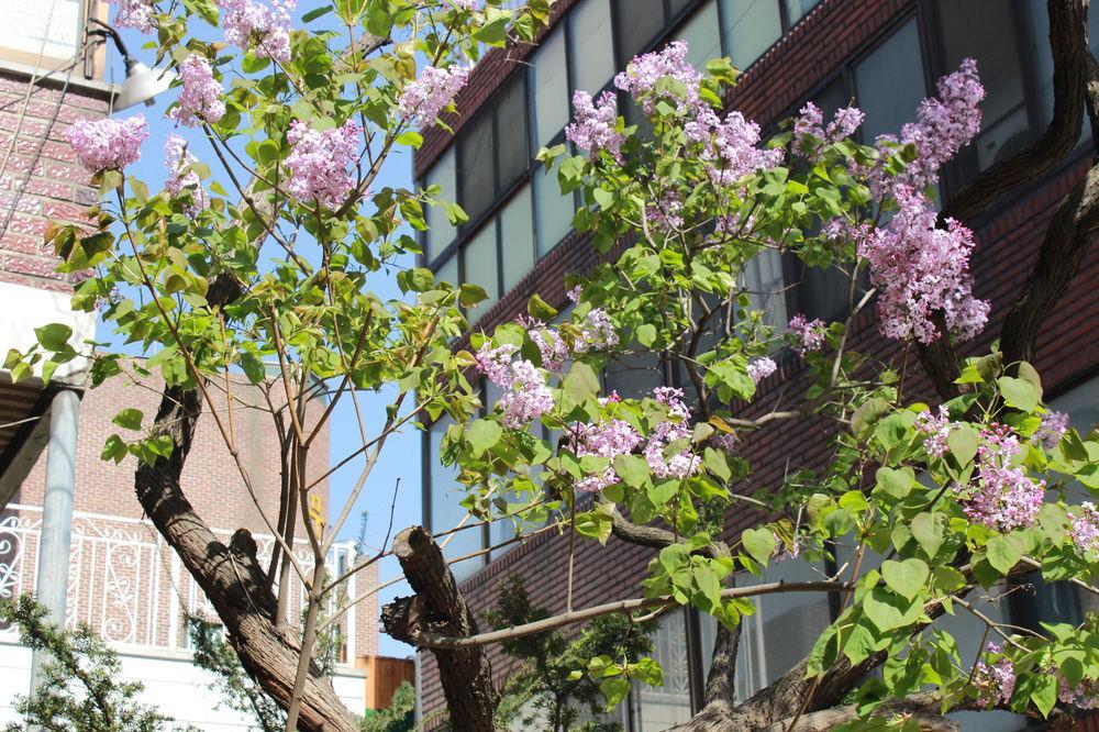 일요스테이 Ilyo Stay Seoul Exterior foto